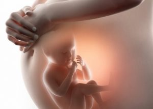 các dị tật thai nhi thường gặp các dị tật thai nhi thường gặp