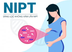 các dị tật thai nhi thường gặp các dị tật thai nhi thường gặp