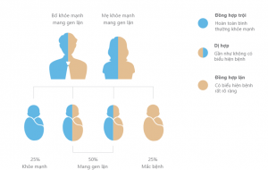 BỆNH DI TRUYỀN GEN LẶN VÀ CÁCH PHÁT HIỆN